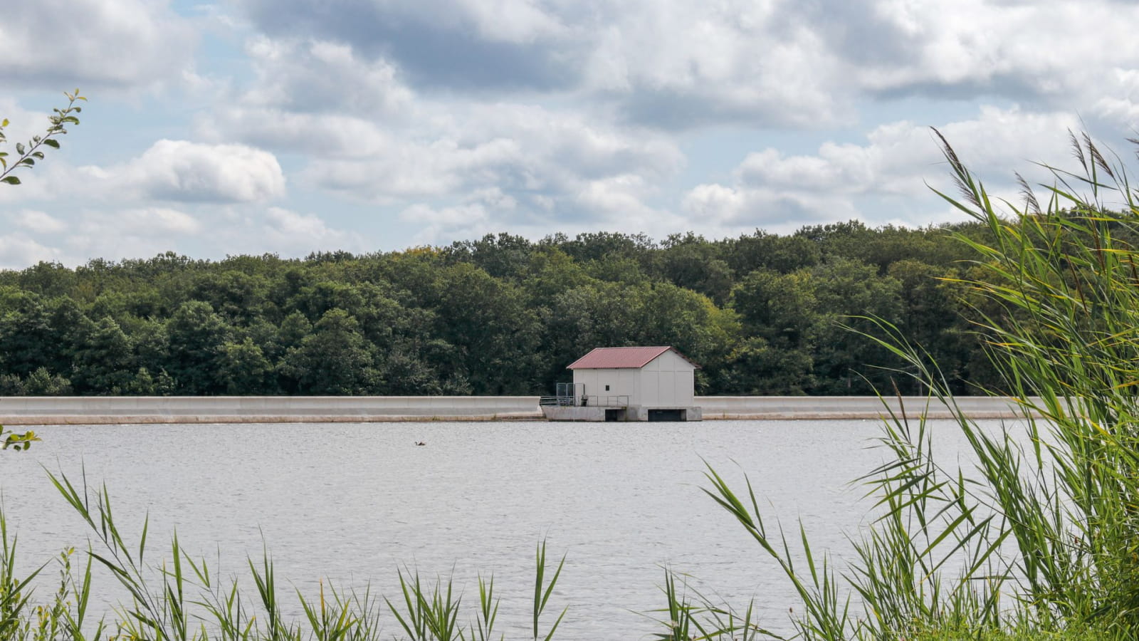 Etang Diefenbach - Puttelange-aux-Lacs (27)