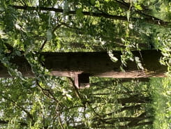 ATELIER - PRÉPARONS L'HIVERS DES OISEAUX