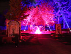 JOURNÉES DU PATRIMOINE - DECOUVERTE NOCTURNE DU CHÂTEAU UTZSCHNEIDER