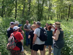 JOURNÉES DU PATRIMOINE - PARC ARCHEOLOGIQUE DE BLIESBRUCK-REINHEIM